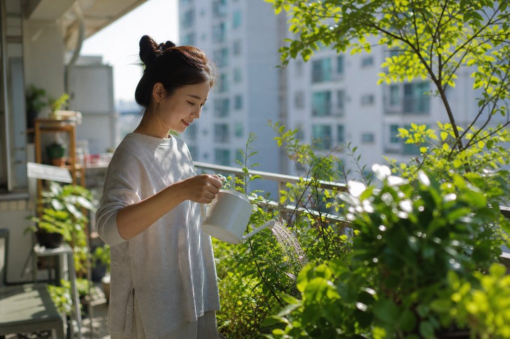 1229회차 로또 당첨자 사주 – 수생목 생조 흐름이 재물을 키운 원숭이·닭띠