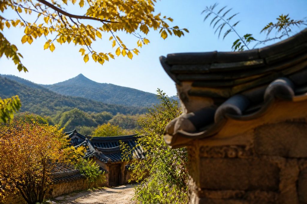 9월 로또 운세 – 가을 산촌의 평온함